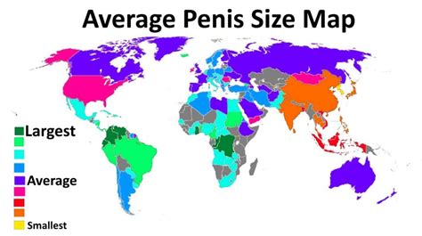 Human penis size